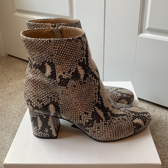 ABLE Snakeskin Celina Ankle Boot - Picture 6 of 8